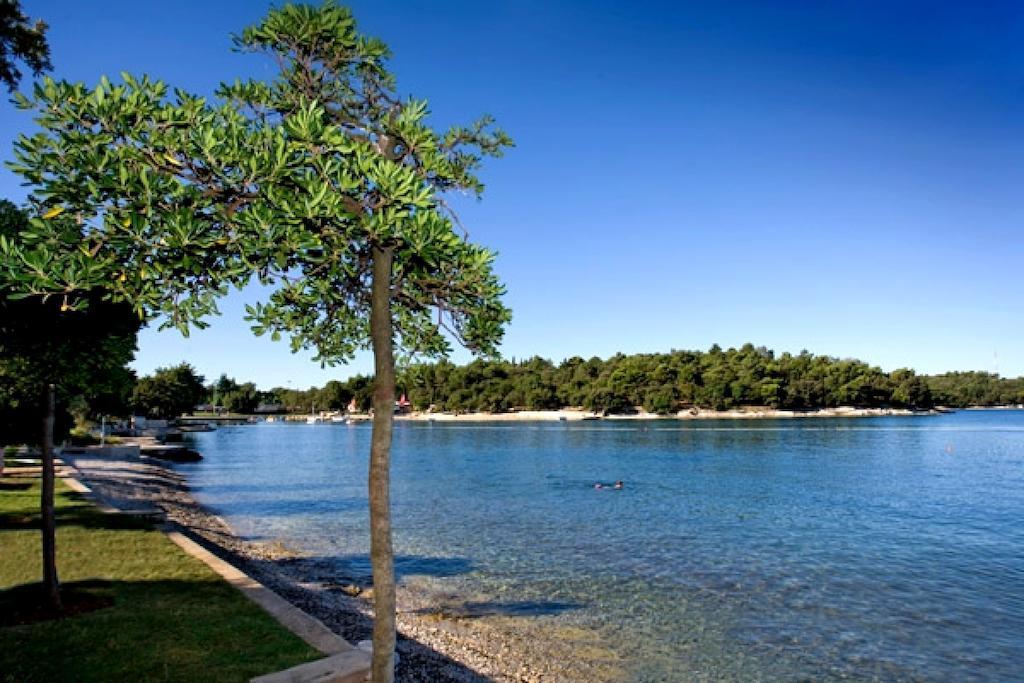 Hotel Zorna Plava Laguna โปเรช ภายนอก รูปภาพ